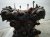 2002 Lexus Sc430 Long Block Engine / Motor = 111k Mi 19000 50590 Replacement 2002 Lexus Sc430 Long Block Engine / Motor = 111k Mi 19000 50590 Replacement thumbnail
