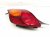 2002 Lexus Sc430 Light / Rear Driver Tail Lamp (on Body) 81561 24080 Replacement 2002 Lexus Sc430 Light / Rear Driver Tail Lamp (on Body) 81561 24080 Replacement thumbnail