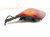 2002 Lexus Sc430 Light / Rear Driver Tail Lamp (on Body) 81561 24080 Replacement 2002 Lexus Sc430 Light / Rear Driver Tail Lamp (on Body) 81561 24080 Replacement thumbnail