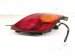 2002 Lexus Sc430 Light / Rear Passenger Tail Lamp (on Body) 81551 24080 Replacement 2002 Lexus Sc430 Light / Rear Passenger Tail Lamp (on Body) 81551 24080 Replacement thumbnail