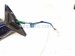 2002 Lexus Sc430 Rear Driver Side View Mirror Blue 87906 24100 J0 Replacement 2002 Lexus Sc430 Rear Driver Side View Mirror Blue 87906 24100 J0 Replacement thumbnail