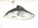 2002 Lexus Sc430 Headlight Driver Headlamp / Light 81170 24100 Replacement 2002 Lexus Sc430 Headlight Driver Headlamp / Light 81170 24100 Replacement thumbnail