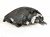 2002 Lexus Sc430 Headlight Driver Headlamp / Light 81170 24100 Replacement 2002 Lexus Sc430 Headlight Driver Headlamp / Light 81170 24100 Replacement thumbnail