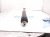 2018 Toyota Sienna Strut / Spring / Rear Passenger Shock Absorber 48531 09A90 Replacement 2018 Toyota Sienna Strut / Spring / Rear Passenger Shock Absorber 48531 09A90 Replacement thumbnail