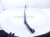 2025 Subaru Crosstrek Passenger Windshield Wiper Arm 86532FL070 Replacement 2025 Subaru Crosstrek Passenger Windshield Wiper Arm 86532FL070 Replacement thumbnail