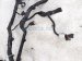 2016 Chevy Silverado 1500 Engine Wire Harness 4.3l At 4x2 23270288 Replacement 2016 Chevy Silverado 1500 Engine Wire Harness 4.3l At 4x2 23270288 Replacement thumbnail