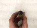 2021 Ford Ranger Front Upper Oxygen Sensor 2.3l KB3G 9Y460 AF Replacement 2021 Ford Ranger Front Upper Oxygen Sensor 2.3l KB3G 9Y460 AF Replacement thumbnail