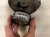 2021 Ford Ranger Engine Belt Tensioner 2.3l KB3Z 6A228 A Replacement 2021 Ford Ranger Engine Belt Tensioner 2.3l KB3Z 6A228 A Replacement thumbnail