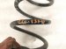 2023 Toyota Sienna Front Passenger Strut Absorber + Spring 48131 08111 Replacement 2023 Toyota Sienna Front Passenger Strut Absorber + Spring 48131 08111 Replacement thumbnail
