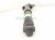 2023 Toyota Sienna Strut / Spring / Rear Driver Shock Absorber 48531 08110 Replacement 2023 Toyota Sienna Strut / Spring / Rear Driver Shock Absorber 48531 08110 Replacement thumbnail