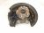 2023 Toyota Sienna Axle Stub Rear Driver Spindle Knuckle Hub Fwd 42305 0E090 Replacement 2023 Toyota Sienna Axle Stub Rear Driver Spindle Knuckle Hub Fwd 42305 0E090 Replacement thumbnail