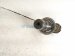 2023 Toyota Sienna Front Passenger Cv Axle Drive Shaft 43410 08150 Replacement 2023 Toyota Sienna Front Passenger Cv Axle Drive Shaft 43410 08150 Replacement thumbnail