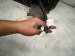 2023 Toyota Sienna Rear Driver Door Black No Inside Trim 67004 08190 Replacement 2023 Toyota Sienna Rear Driver Door Black No Inside Trim 67004 08190 Replacement thumbnail