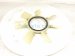 2021 Ford Ranger Radiator Fan Blade 2.3l 4x2 KB3Z 8600 A Replacement 2021 Ford Ranger Radiator Fan Blade 2.3l 4x2 KB3Z 8600 A Replacement thumbnail