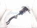 2015 Audi Q5 Audi Front Passenger Strut Absorber + Spring 8R0 823 359 A Replacement 2015 Audi Q5 Audi Front Passenger Strut Absorber + Spring 8R0 823 359 A Replacement thumbnail