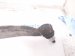 2015 Audi Q5 Audi Front Passenger Rearward Lower Control Arm 8K0 407 696 J Replacement 2015 Audi Q5 Audi Front Passenger Rearward Lower Control Arm 8K0 407 696 J Replacement thumbnail
