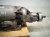 2015 Audi Q5 Audi Automatic Transmission = Mi* 0BW300036 Replacement 2015 Audi Q5 Audi Automatic Transmission = Mi* 0BW300036 Replacement thumbnail