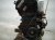 2015 Audi Q5 Audi Long Block Engine / Motor = Mi 06H 100 035 C Replacement 2015 Audi Q5 Audi Long Block Engine / Motor = Mi 06H 100 035 C Replacement thumbnail