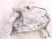 2022 Honda Civic Passenger Frame Rail Apron Cut White Sdn 60810 T20 305ZZ Replacement 2022 Honda Civic Passenger Frame Rail Apron Cut White Sdn 60810 T20 305ZZ Replacement thumbnail