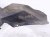 2004 Volvo S40 Rear Driver Inner Fender Liner 30678139 Replacement 2004 Volvo S40 Rear Driver Inner Fender Liner 30678139 Replacement thumbnail
