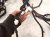 2022 Nissan Frontier Engine Room Wire Harness S 3.8l 24010 9BU3D Replacement 2022 Nissan Frontier Engine Room Wire Harness S 3.8l 24010 9BU3D Replacement thumbnail