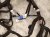 2022 Nissan Frontier Engine Room Wire Harness S 3.8l 24010 9BU3D Replacement 2022 Nissan Frontier Engine Room Wire Harness S 3.8l 24010 9BU3D Replacement thumbnail