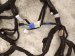 2022 Nissan Frontier Engine Room Wire Harness S 3.8l 24010 9BU3D Replacement 2022 Nissan Frontier Engine Room Wire Harness S 3.8l 24010 9BU3D Replacement thumbnail