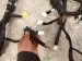 2022 Nissan Frontier Engine Room Wire Harness S 3.8l 24010 9BU3D Replacement 2022 Nissan Frontier Engine Room Wire Harness S 3.8l 24010 9BU3D Replacement thumbnail