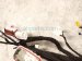 2022 Nissan Frontier Engine Room Wire Harness S 3.8l 24010 9BU3D Replacement 2022 Nissan Frontier Engine Room Wire Harness S 3.8l 24010 9BU3D Replacement thumbnail