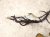 2022 Nissan Frontier Engine Room Wire Harness S 3.8l 24010 9BU3D Replacement 2022 Nissan Frontier Engine Room Wire Harness S 3.8l 24010 9BU3D Replacement thumbnail