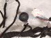 2022 Nissan Frontier Engine Room Wire Harness S 3.8l 24010 9BU3D Replacement 2022 Nissan Frontier Engine Room Wire Harness S 3.8l 24010 9BU3D Replacement thumbnail