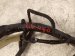 2022 Nissan Frontier Engine Room Wire Harness S 3.8l 24010 9BU3D Replacement 2022 Nissan Frontier Engine Room Wire Harness S 3.8l 24010 9BU3D Replacement thumbnail