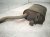 2015 Lexus Gs350 Driver Exhaust Muffler 3.5l Rwd 17440 31160 Replacement 2015 Lexus Gs350 Driver Exhaust Muffler 3.5l Rwd 17440 31160 Replacement thumbnail