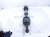 2018 Toyota Camry Front Driver Cv Axle Drive Shaft 43420 33330 Replacement 2018 Toyota Camry Front Driver Cv Axle Drive Shaft 43420 33330 Replacement thumbnail