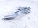 2018 Toyota Camry Driver Hood Hinge Silver 53420 33300 Replacement 2018 Toyota Camry Driver Hood Hinge Silver 53420 33300 Replacement thumbnail
