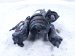 2018 Toyota Camry Engine/motor Front Engine Mount 2.5l Fwd 12361 25041 Replacement 2018 Toyota Camry Engine/motor Front Engine Mount 2.5l Fwd 12361 25041 Replacement thumbnail