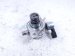 2018 Toyota Camry High Pressure Fuel Pump Engine Mtd 23101 25040 Replacement 2018 Toyota Camry High Pressure Fuel Pump Engine Mtd 23101 25040 Replacement thumbnail