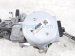 2018 Lexus Rx350 Shaft Steering Column Assy W/ Eps 3.5 Awd 45250 0E170 Replacement 2018 Lexus Rx350 Shaft Steering Column Assy W/ Eps 3.5 Awd 45250 0E170 Replacement thumbnail