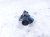 2018 Lexus Rx350 Vacuum Switching Valve Solenoid 90910 12132 Replacement 2018 Lexus Rx350 Vacuum Switching Valve Solenoid 90910 12132 Replacement thumbnail
