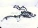 2022 Honda Civic A/t Transmission Harness 1.5l 28150 65H A70 Replacement 2022 Honda Civic A/t Transmission Harness 1.5l 28150 65H A70 Replacement thumbnail