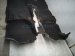 2017 Honda HR V Ground Front Floor Carpet Black 83301 T7W A01 M1 Replacement 2017 Honda HR V Ground Front Floor Carpet Black 83301 T7W A01 M1 Replacement thumbnail