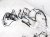 2020 Toyota Highlander Dash Instrument Wire Harness Hyb 82141 48N60 Replacement 2020 Toyota Highlander Dash Instrument Wire Harness Hyb 82141 48N60 Replacement thumbnail