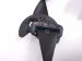 2024 Mazda Cx 50 Front Passenger Seat Belt Black VA40 57L30 Replacement 2024 Mazda Cx 50 Front Passenger Seat Belt Black VA40 57L30 Replacement thumbnail