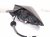 2024 Mazda Cx 50 Light / Rear Driver Tail Lamp (on Body) VA40 51 160B Replacement 2024 Mazda Cx 50 Light / Rear Driver Tail Lamp (on Body) VA40 51 160B Replacement thumbnail