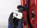 2024 Mazda Cx 50 Front Passenger Door Red No Mirror/trim* VAY0 58 02XA Replacement 2024 Mazda Cx 50 Front Passenger Door Red No Mirror/trim* VAY0 58 02XA Replacement thumbnail