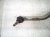 2021 Honda CR V And / Gear Box Power Steering Rack & Pinion 53620 TPG A11 Replacement 2021 Honda CR V And / Gear Box Power Steering Rack & Pinion 53620 TPG A11 Replacement thumbnail
