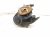 2021 Honda CR V Front Passenger Spindle Knuckle Hub Awd 44600 TLA A00 Replacement 2021 Honda CR V Front Passenger Spindle Knuckle Hub Awd 44600 TLA A00 Replacement thumbnail