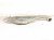 2021 Honda CR V Rear Passenger Spring Seat Lower Control Arm 52350 TLA A52 Replacement 2021 Honda CR V Rear Passenger Spring Seat Lower Control Arm 52350 TLA A52 Replacement thumbnail