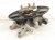 2021 Honda CR V Axle Stub Rear Driver Spindle Knuckle Hub Awd 52215 TNY J00 Replacement 2021 Honda CR V Axle Stub Rear Driver Spindle Knuckle Hub Awd 52215 TNY J00 Replacement thumbnail
