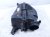 2022 Honda Odyssey Air Cleaner Intake Box 17211 5J6 A20 Replacement 2022 Honda Odyssey Air Cleaner Intake Box 17211 5J6 A20 Replacement thumbnail